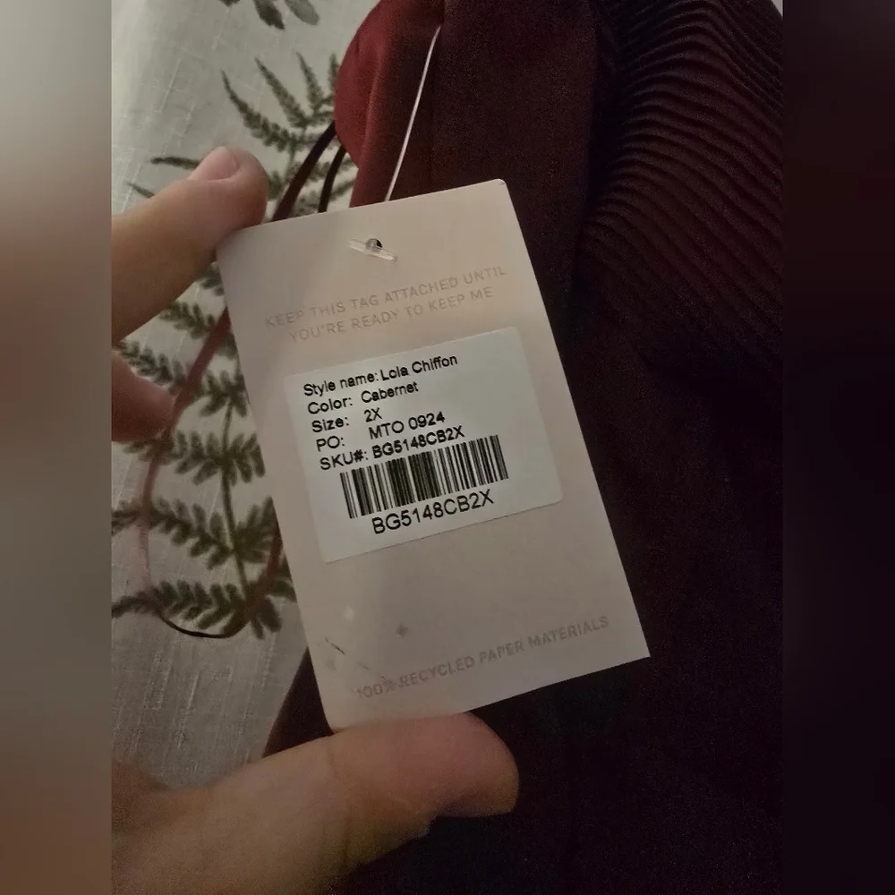 NEW Birdy Grey Lola Chiffon Cabernet Dress - Picture 7 of 10